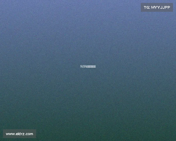 NSN战队全新启航